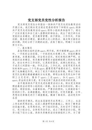 2024年党支部党员党性分析报告