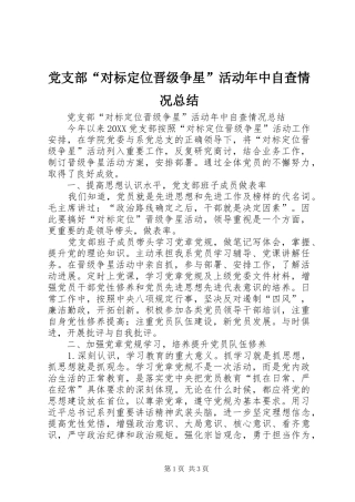 2024年党支部对标定位晋级争星活动年中自查情况总结
