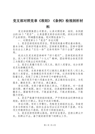 2024年党支部对照党章准则条例检视剖析材料