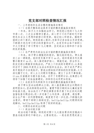 2024年党支部对照检查情况汇报