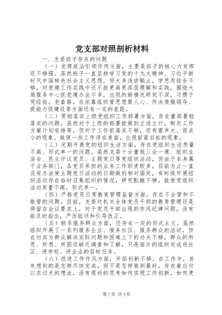 2024年党支部对照剖析材料