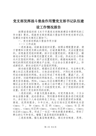 2024年党支部发挥战斗堡垒作用暨党支部书记队伍建设工作情况报告