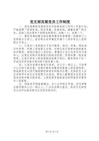 2024年党支部发展党员工作制度