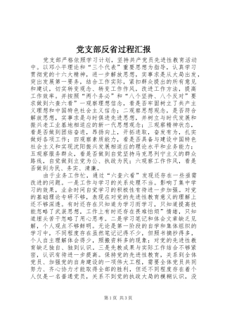 2024年党支部反省过程汇报