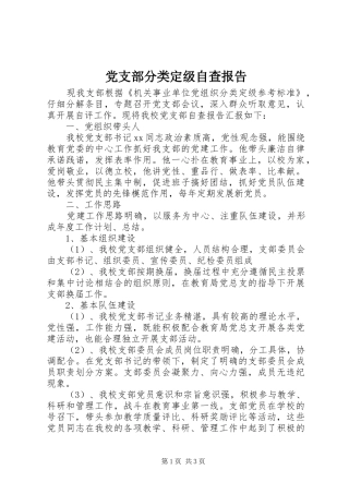 2024年党支部分类定级自查报告