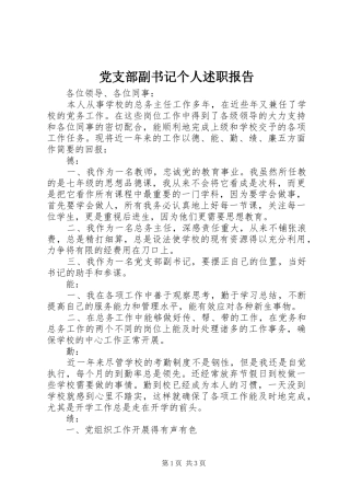 2024年党支部副书记个人述职报告