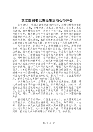 2024年党支部副书记惠民生活动心得体会