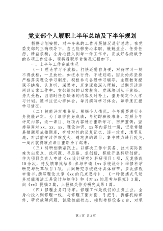 2024年党支部个人履职上半年总结及下半年规划