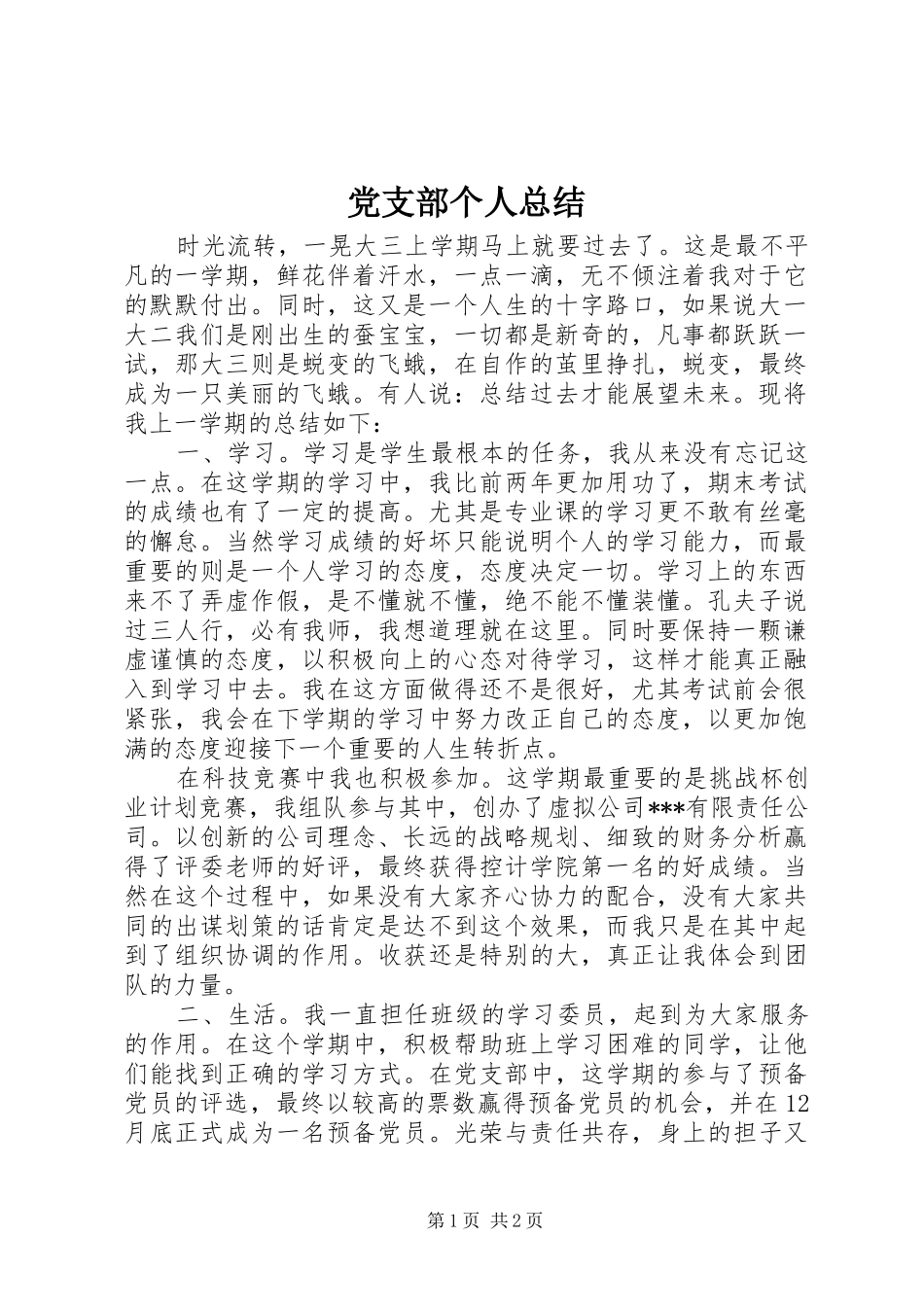2024年党支部个人总结_第1页