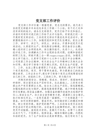 2024年党支部工作评价