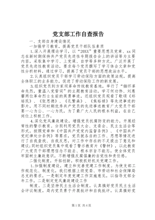 2024年党支部工作自查报告