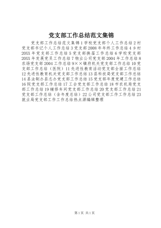 2024年党支部工作总结范文集锦