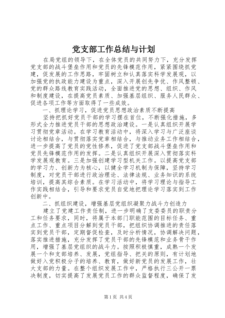 2024年党支部工作总结与计划_第1页