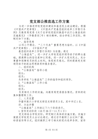 2024年党支部公推直选工作方案