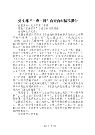 2024年党支部三查三问自查自纠情况报告