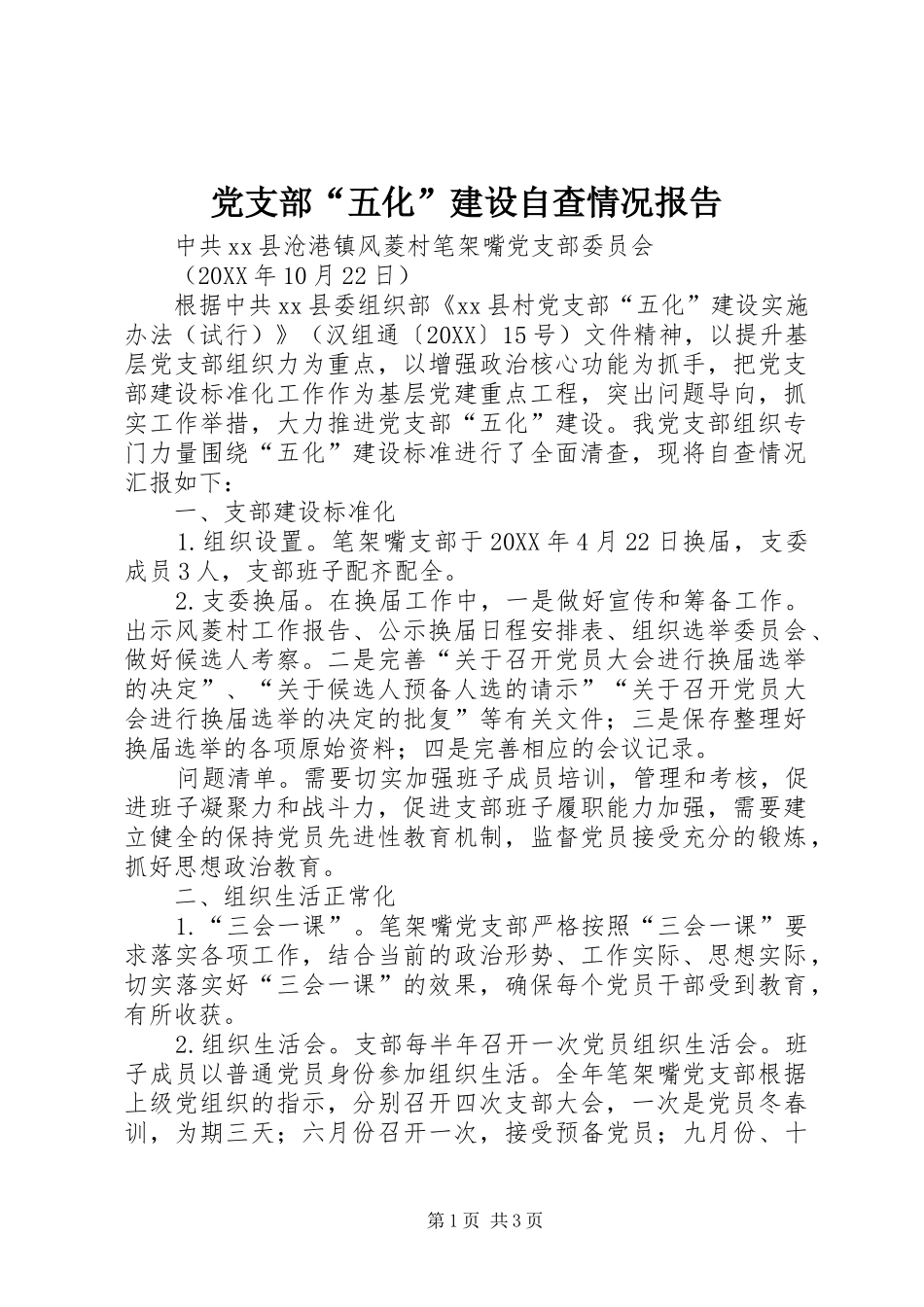 2024年党支部五化建设自查情况报告_第1页
