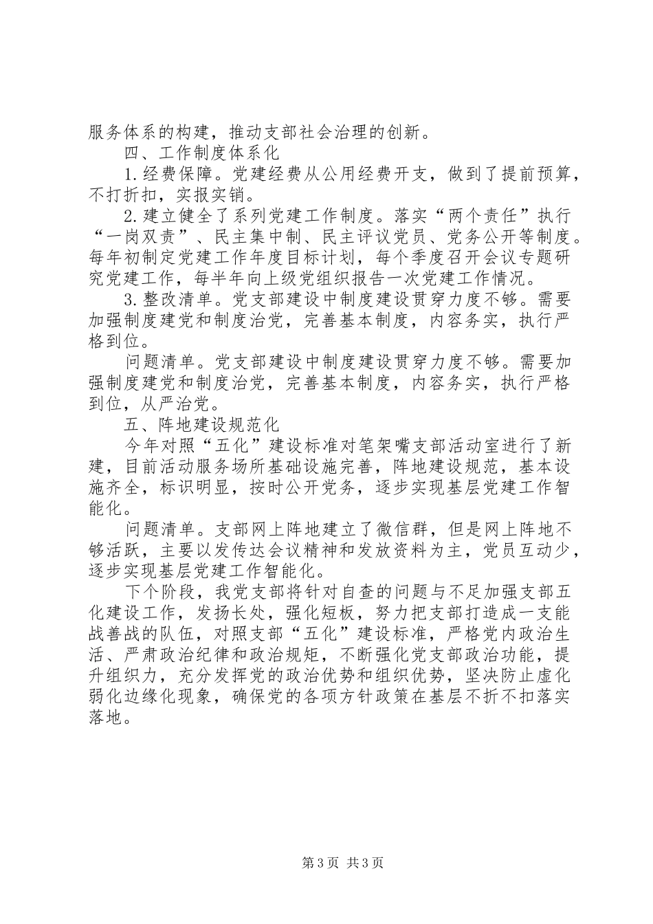 2024年党支部五化建设自查情况报告_第3页