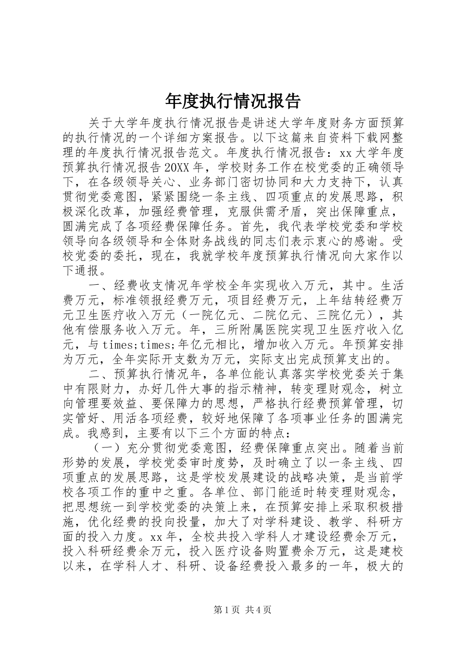 2024年年度执行情况报告_第1页