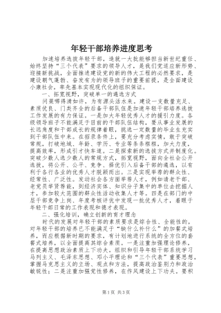 2024年年轻干部培养进度思考