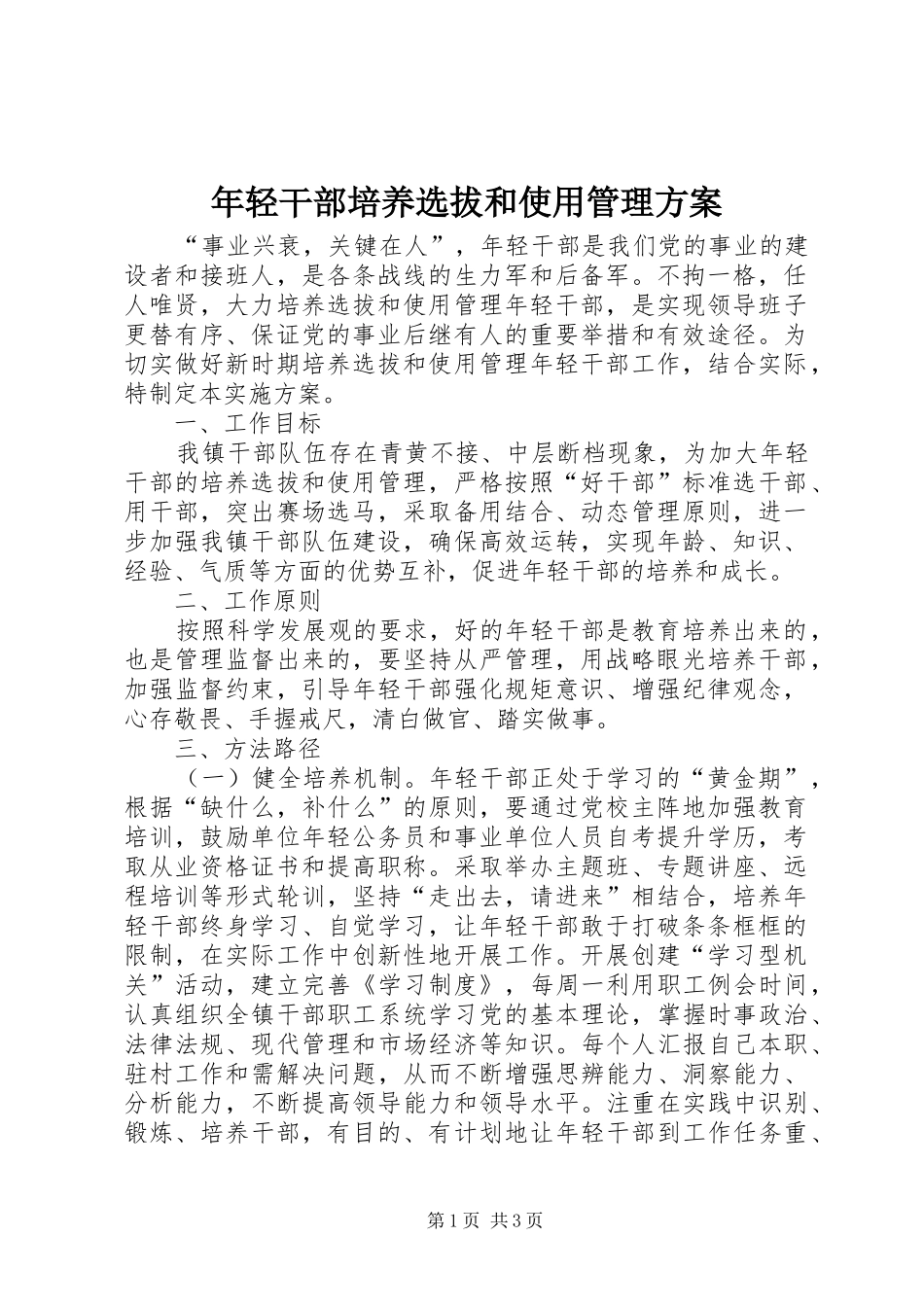 2024年年轻干部培养选拔和使用管理方案_第1页