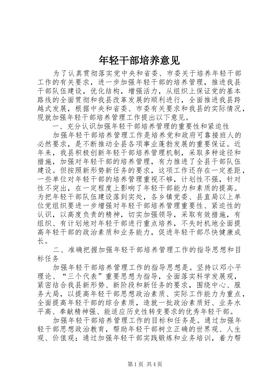 2024年年轻干部培养意见_第1页