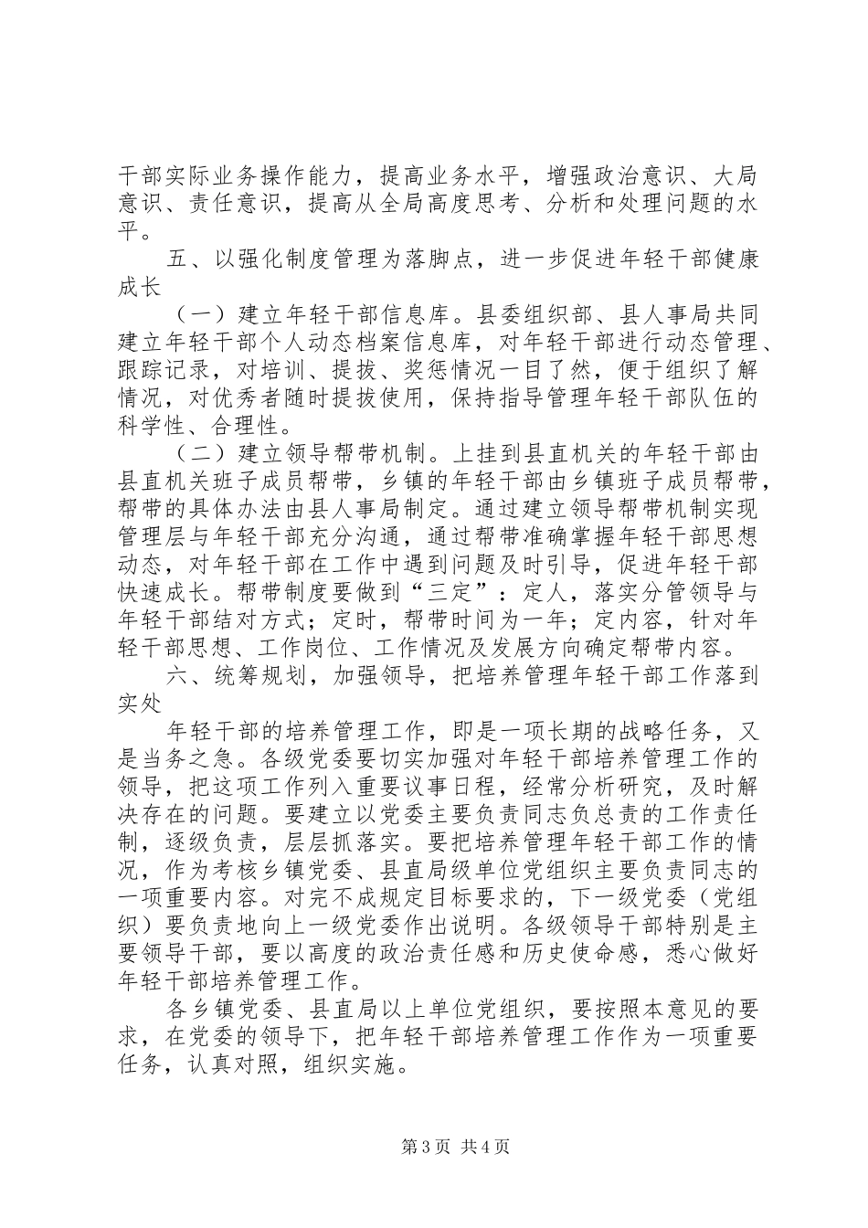 2024年年轻干部培养意见_第3页
