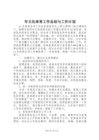 2024年年文化体育工作总结与工作计划