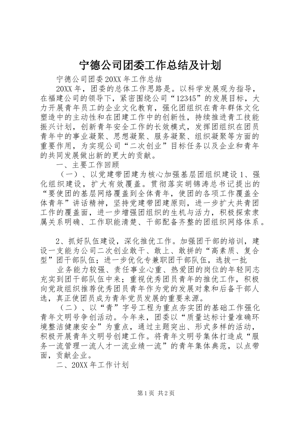 2024年宁德公司团委工作总结及计划_第1页