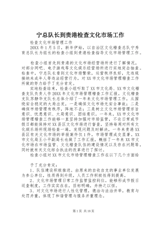 2024年宁总队长到贵港检查文化市场工作