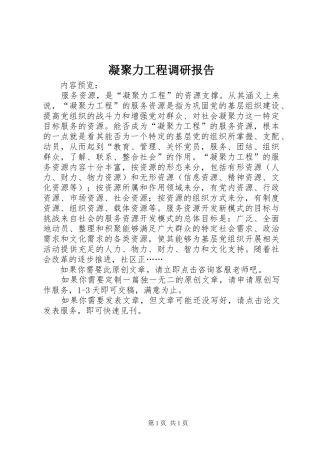 2024年凝聚力工程调研报告