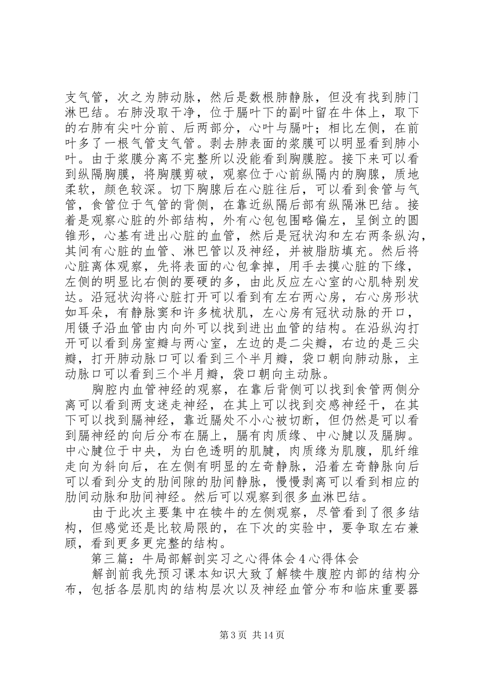 2024年牛局部解剖实习之心得体会_第3页