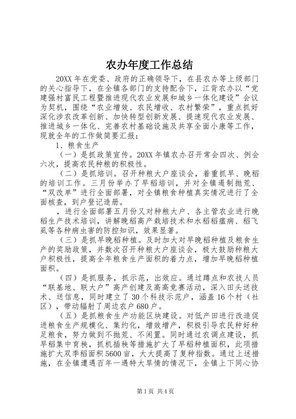 2024年农办年度工作总结_第1页