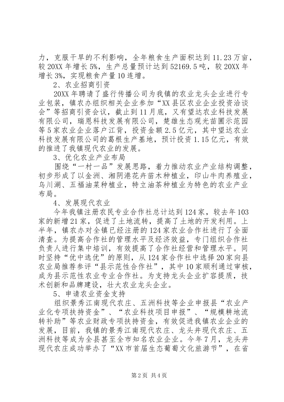 2024年农办年度工作总结_第2页