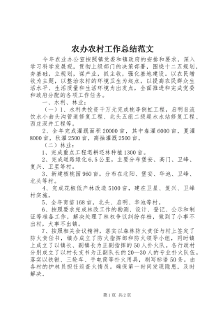 2024年农办农村工作总结范文