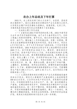 2024年农办上年总结及下年打算