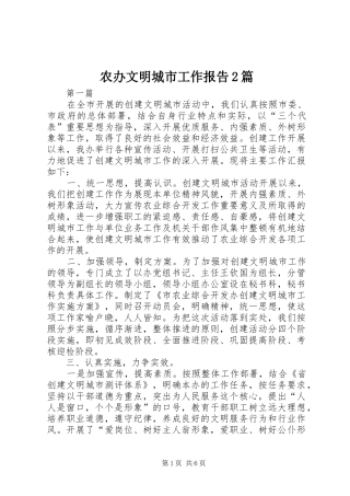 2024年农办文明城市工作报告篇