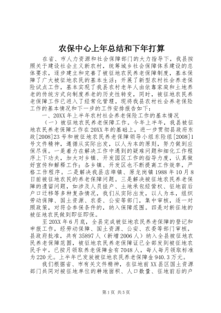 2024年农保中心上年总结和下年打算