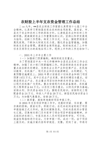 2024年农财股上半年支农资金管理工作总结