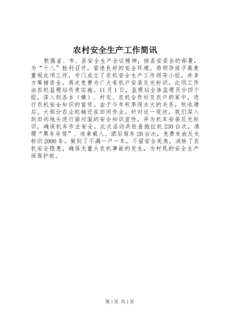 2024年农村安全生产工作简讯