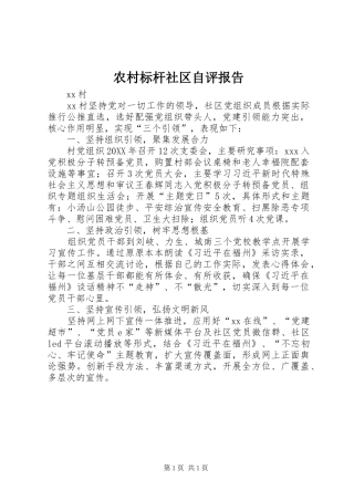 2024年农村标杆社区自评报告