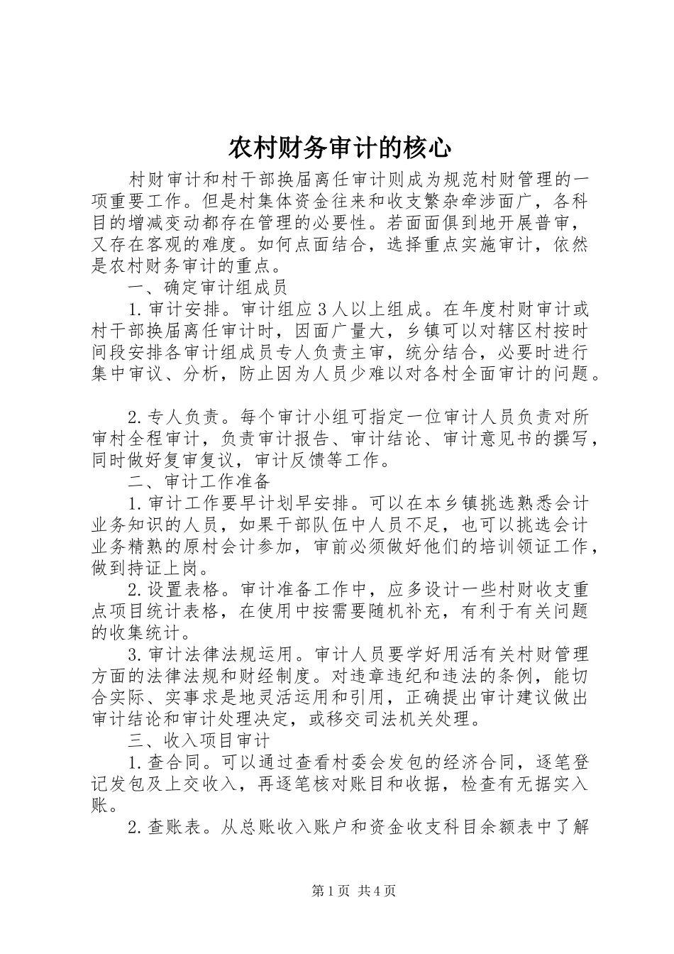 2024年农村财务审计的核心_第1页