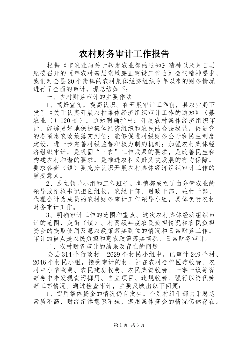 2024年农村财务审计工作报告_第1页