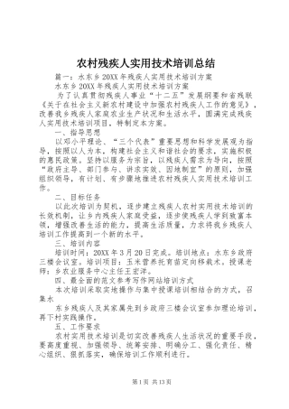 2024年农村残疾人实用技术培训总结