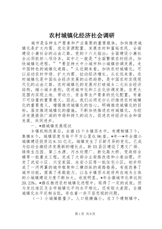2024年农村城镇化经济社会调研