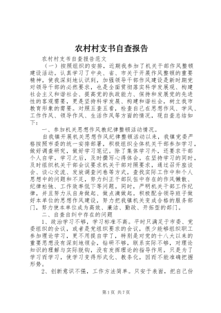 2024年农村村支书自查报告