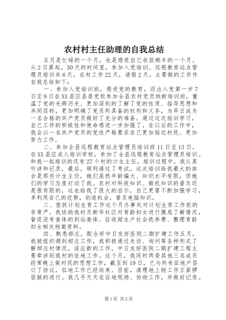 2024年农村村主任助理的自我总结