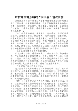 2024年农村党的群众路线回头看情况汇报