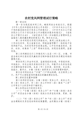 2024年农村党风网管理试行策略