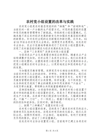 2024年农村党小组设置的改革与实践