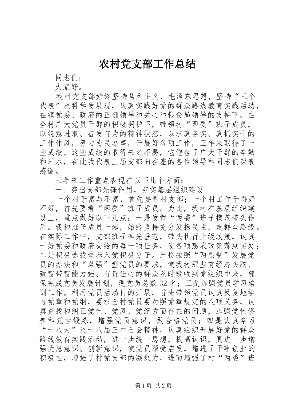 2024年农村党支部工作总结_第1页